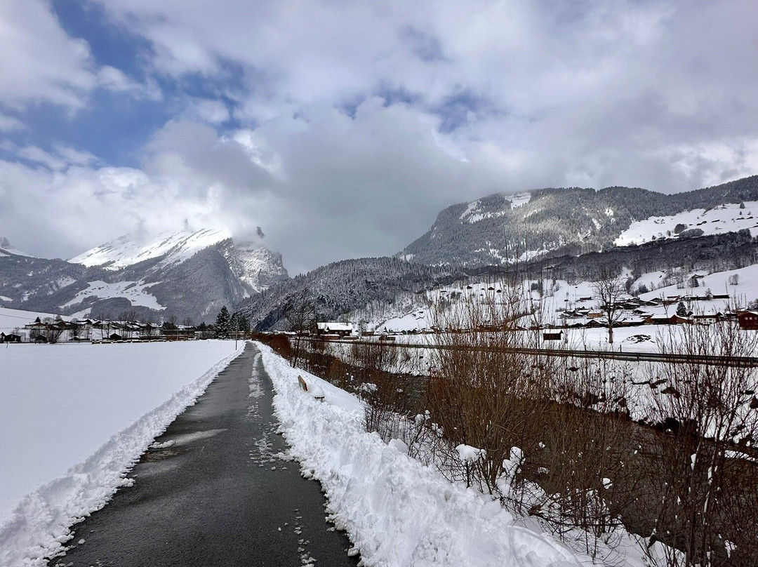 胡博特酒店主图