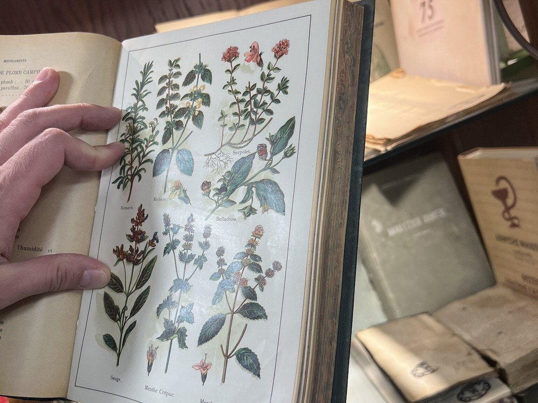 Hellenic Pharmaceutical Museum-卡拉马里亚必去景点