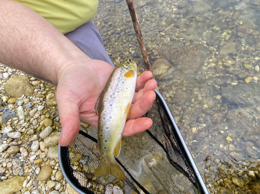 FLY FISHING SICILY outdoor experience-卡塔尼亚必去景点