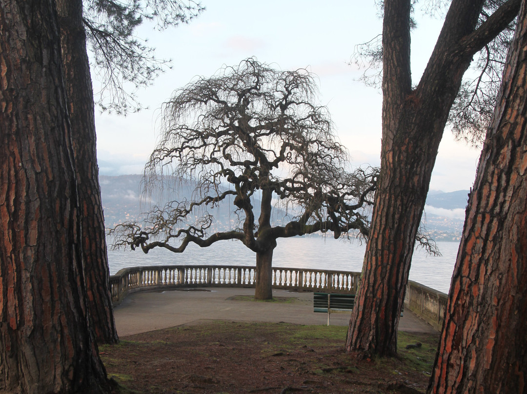 Lungolago Stresa-斯特雷萨必去景点