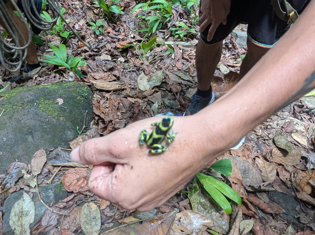 Quepo Canyoning-克波斯必去景点
