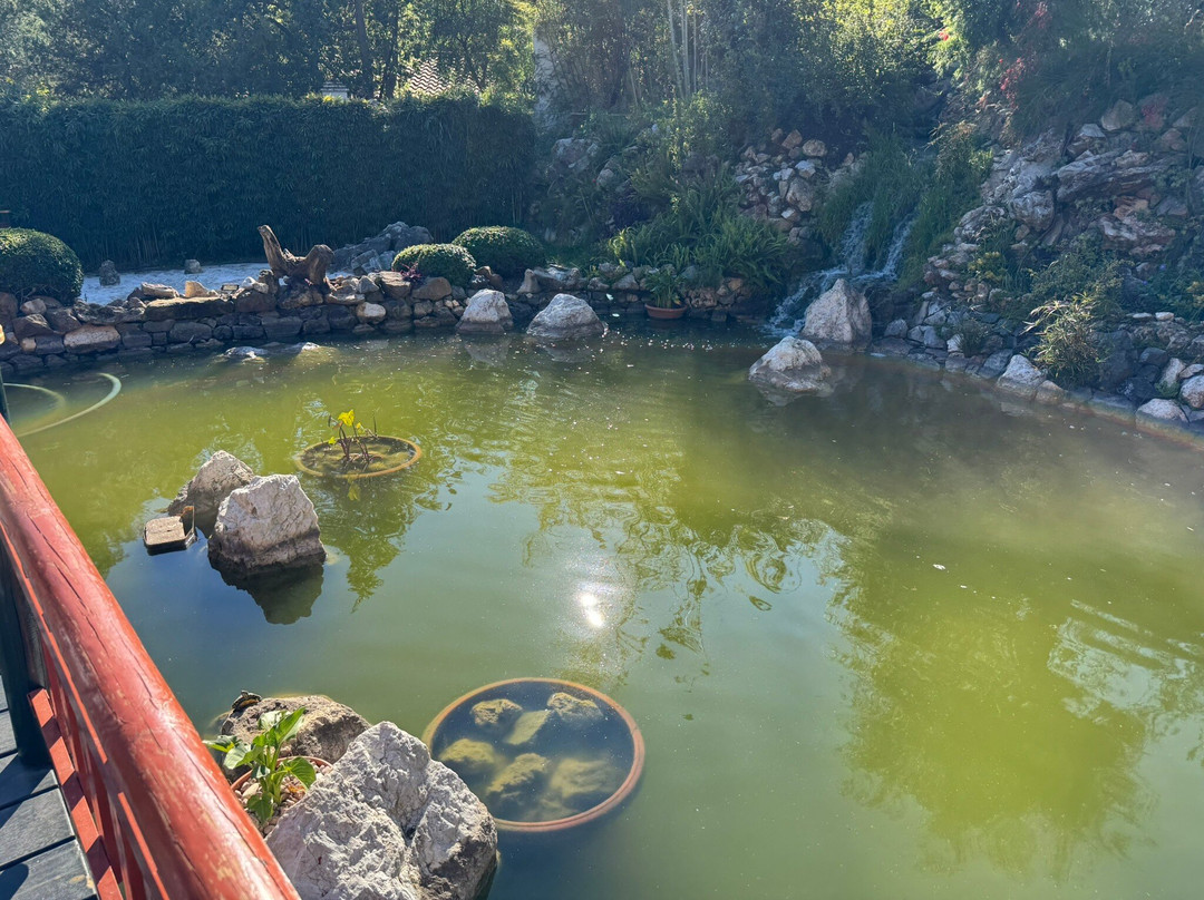 Jardin Botanico Molino de Inca-托雷莫里诺斯必去景点