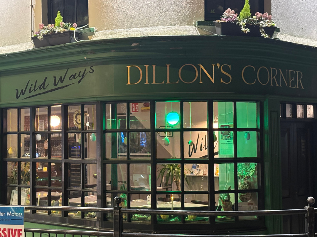 Wild Ways at Dillon’s Corner