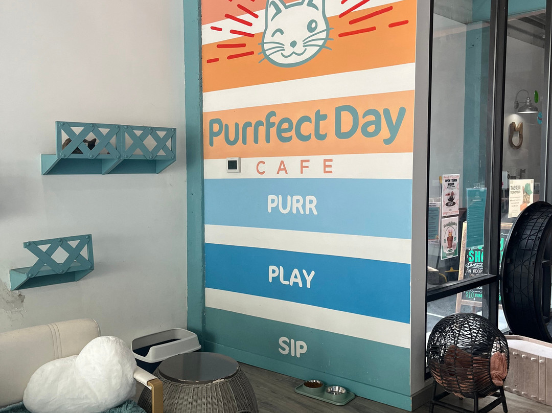 Purrfect Day Cafe Covington-卡温顿必去景点
