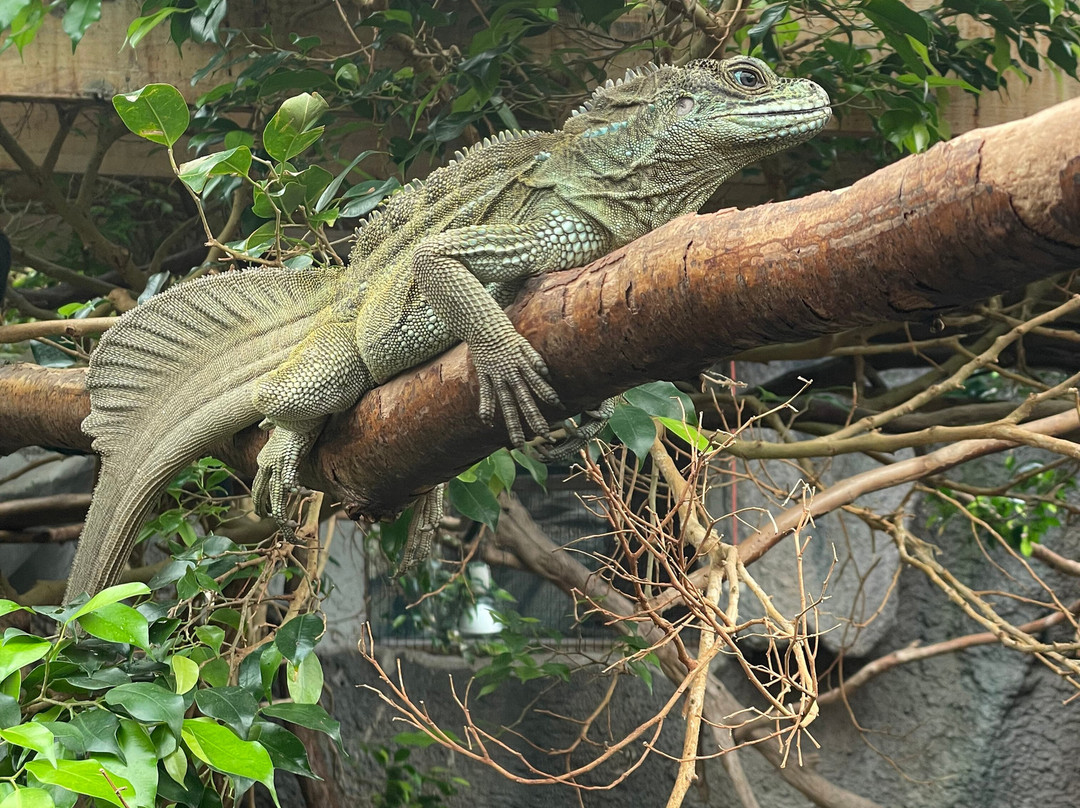 Krokodille Zoo-Eskilstrup必去景点