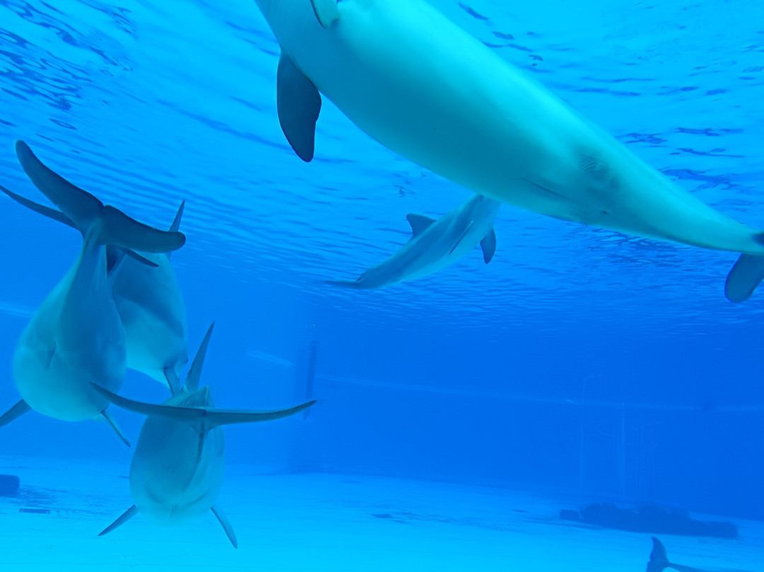 Planète Sauvage-Port-Saint-Pere必去景点