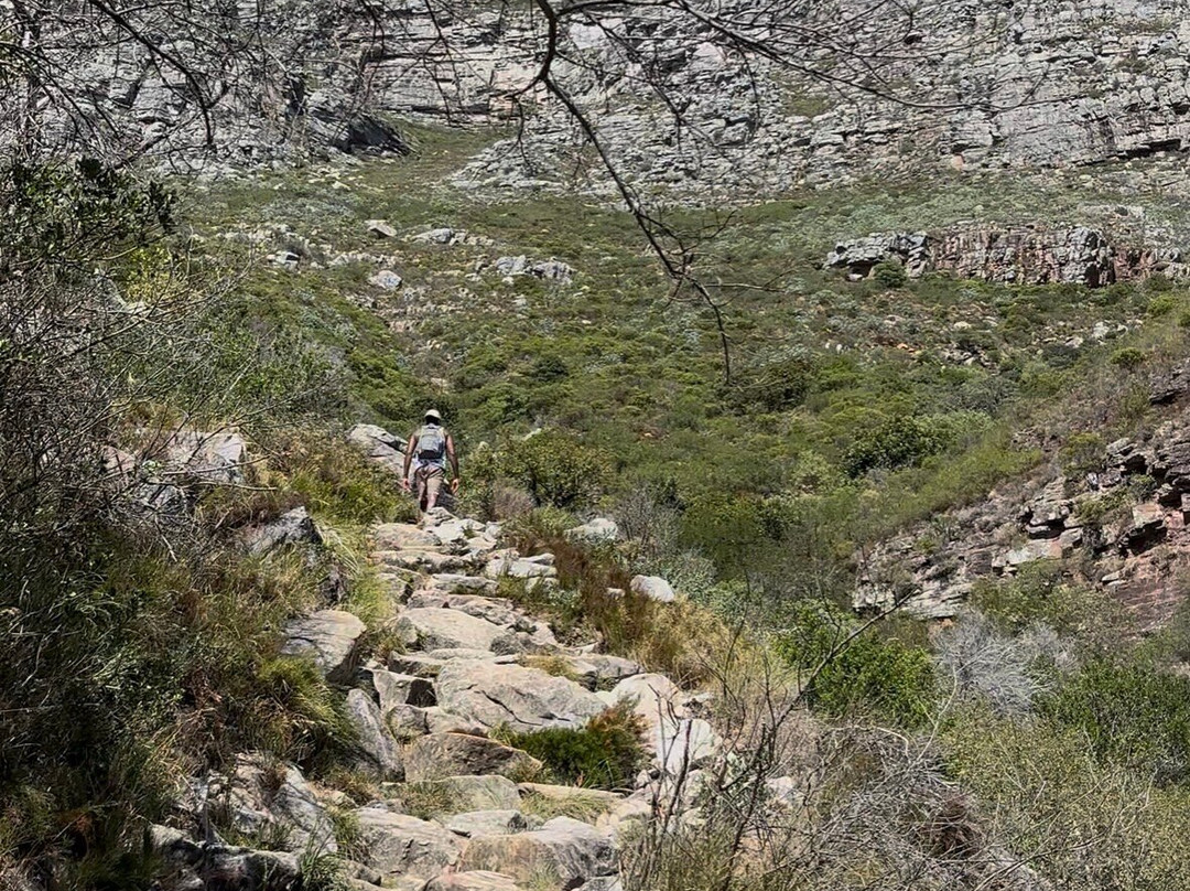 Platteklip Gorge-桌山国家公园必去景点