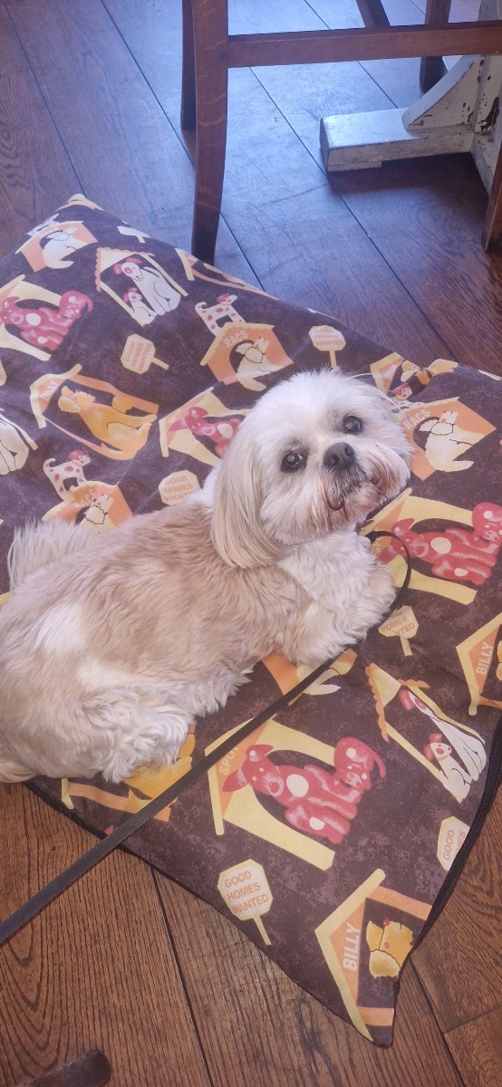 怀特岛温泉酒店 - 格林国王旅馆-官方