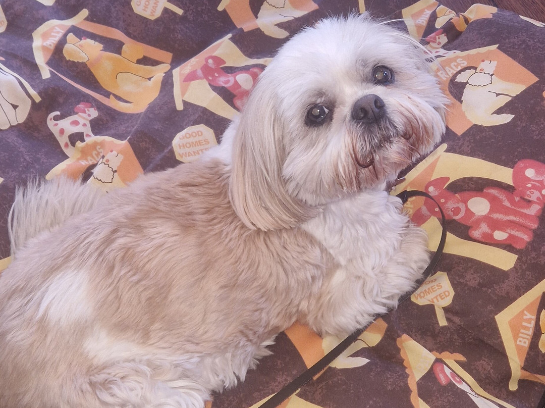 怀特岛温泉酒店 - 格林国王旅馆主图