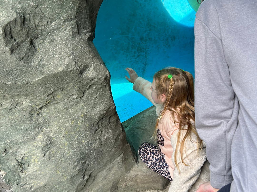 Sea Life Scarborough-斯卡伯勒必去景点