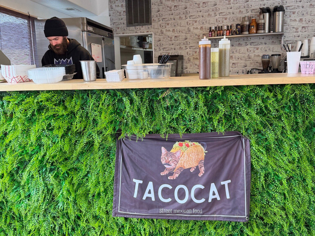 Tacocat