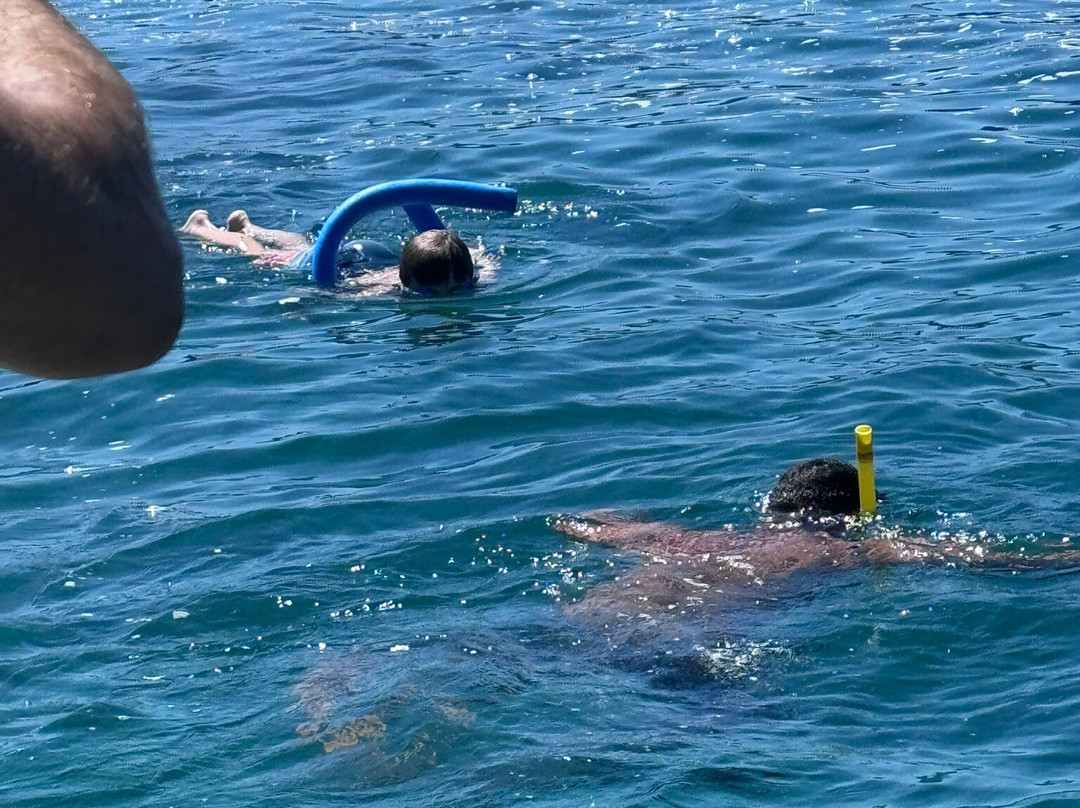 Hermosa Boat Trips-艾尔摩滩必去景点