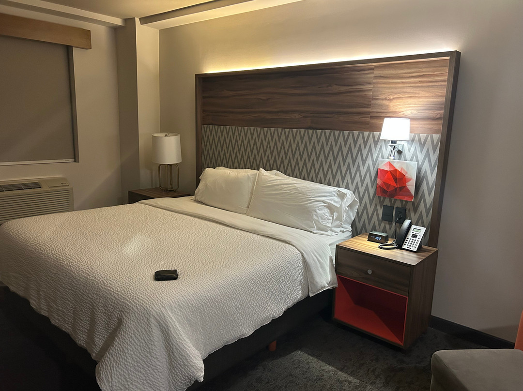 蒙特雷阿波达卡机场区假日套房酒店主图