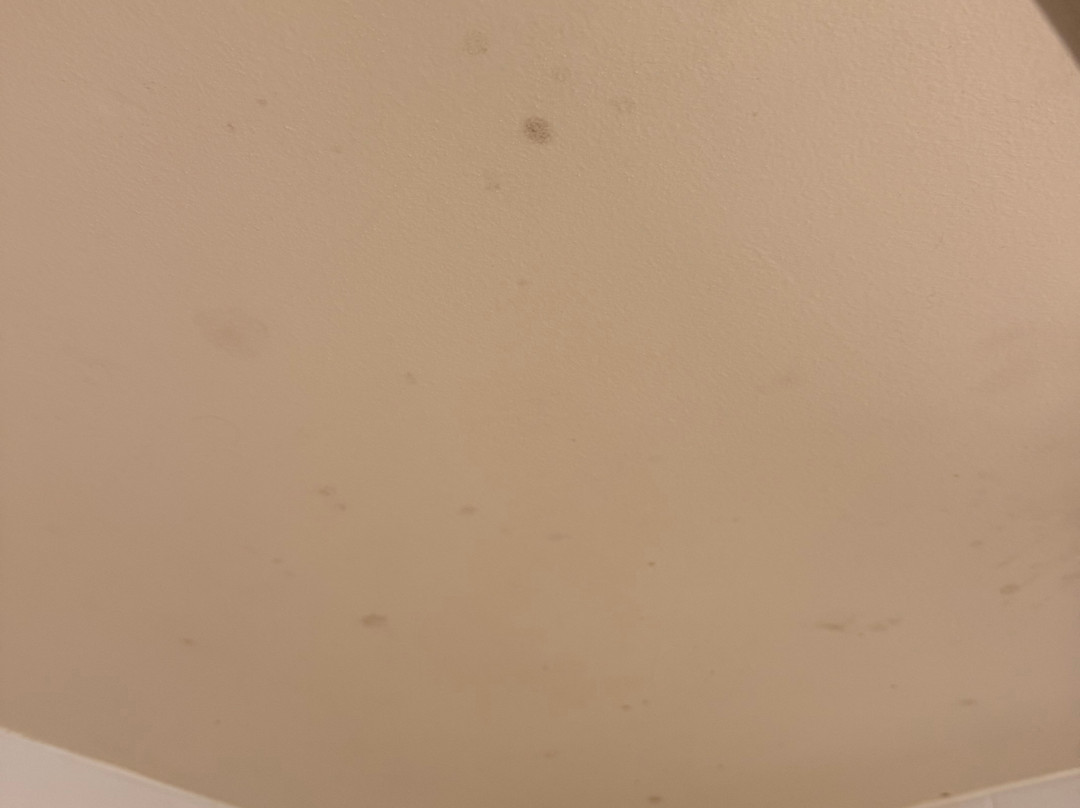 辛辛那提东门假日酒店主图