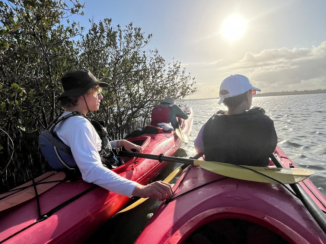 Ripple Effect Ecotours-圣奥古斯丁必去景点