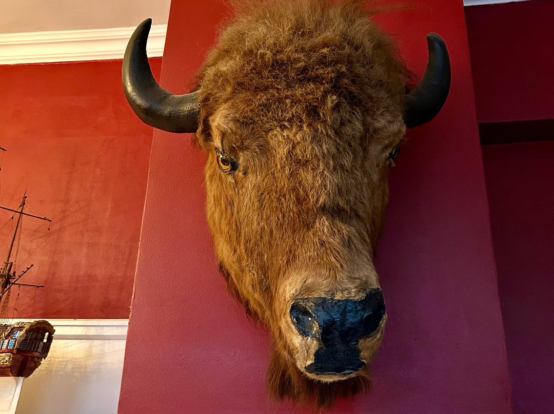 格瑞斯库伽米勒酒店主图