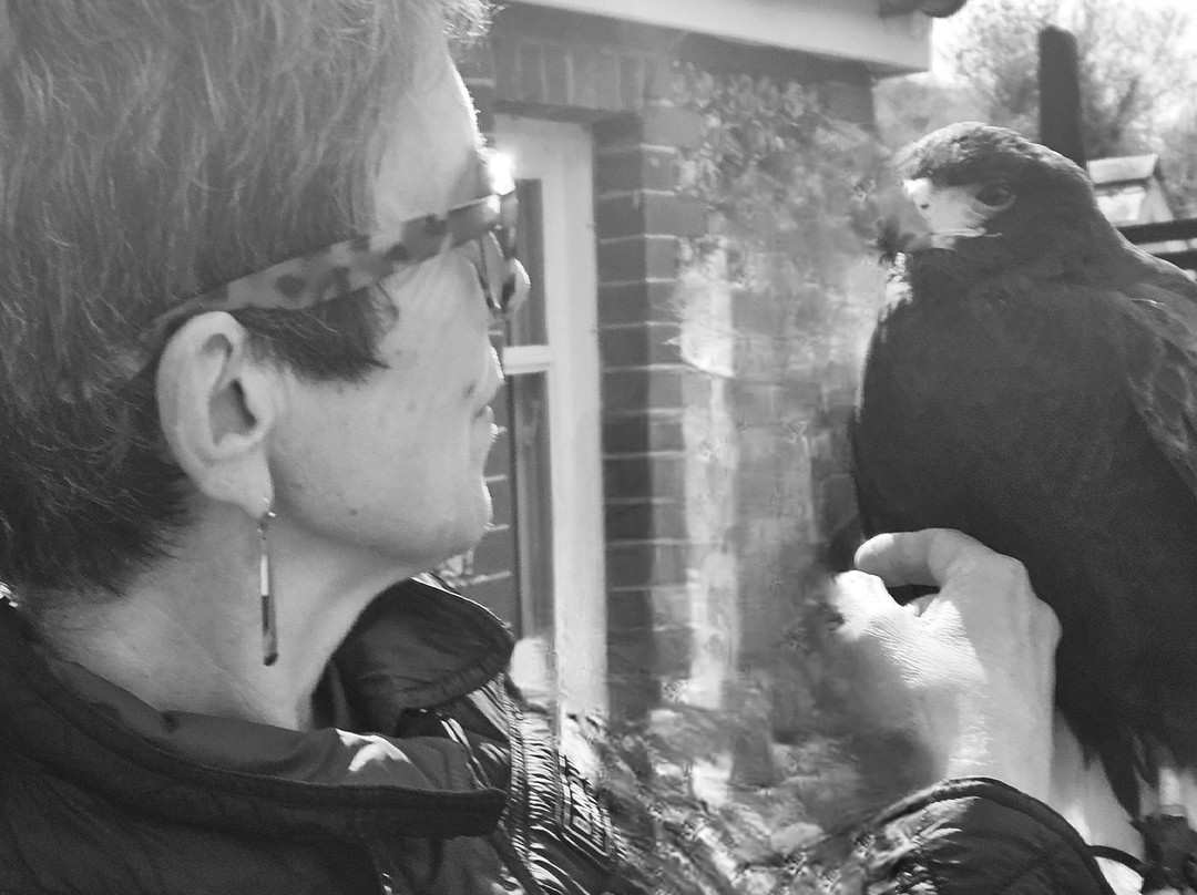 West Sussex Falconry-Compton必去景点