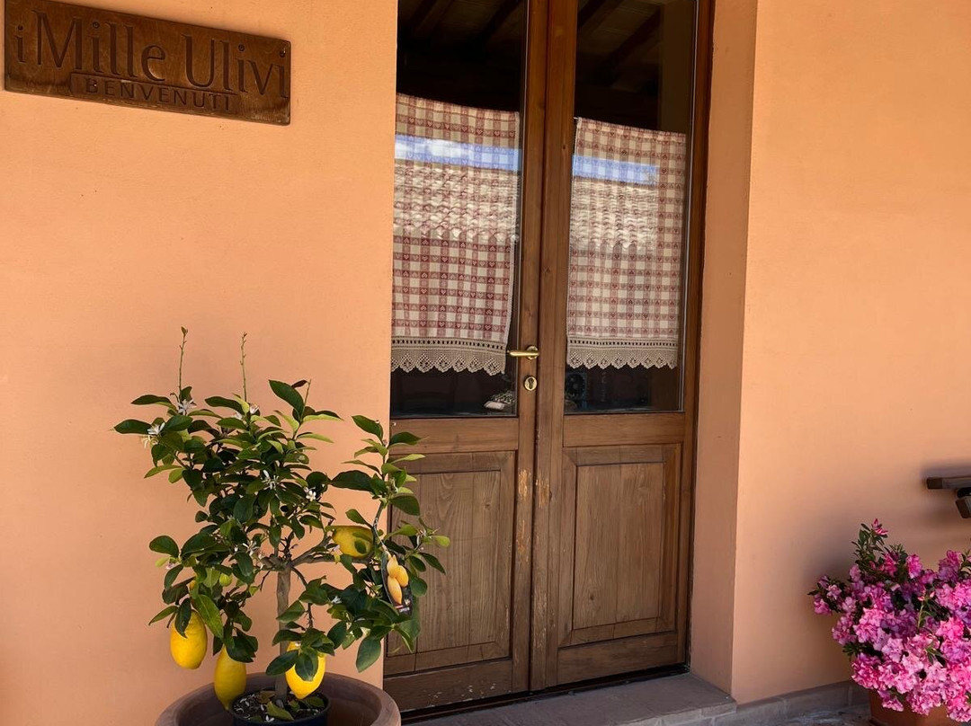 Agriturismo i Mille Ulivi主图