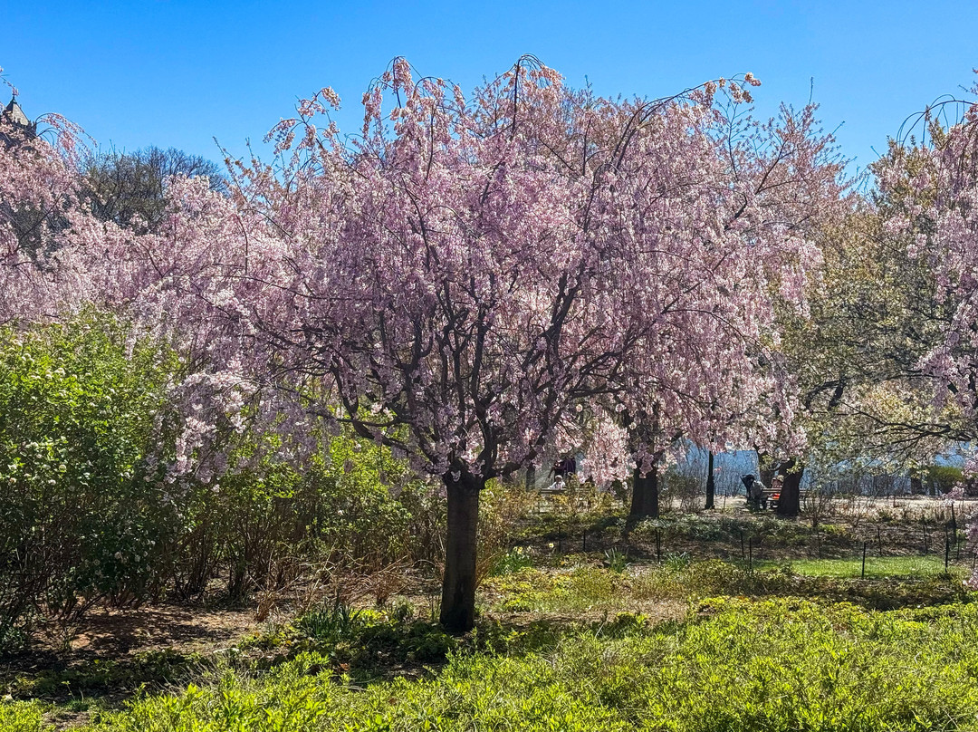 Branch Brook Park-纽瓦克必去景点