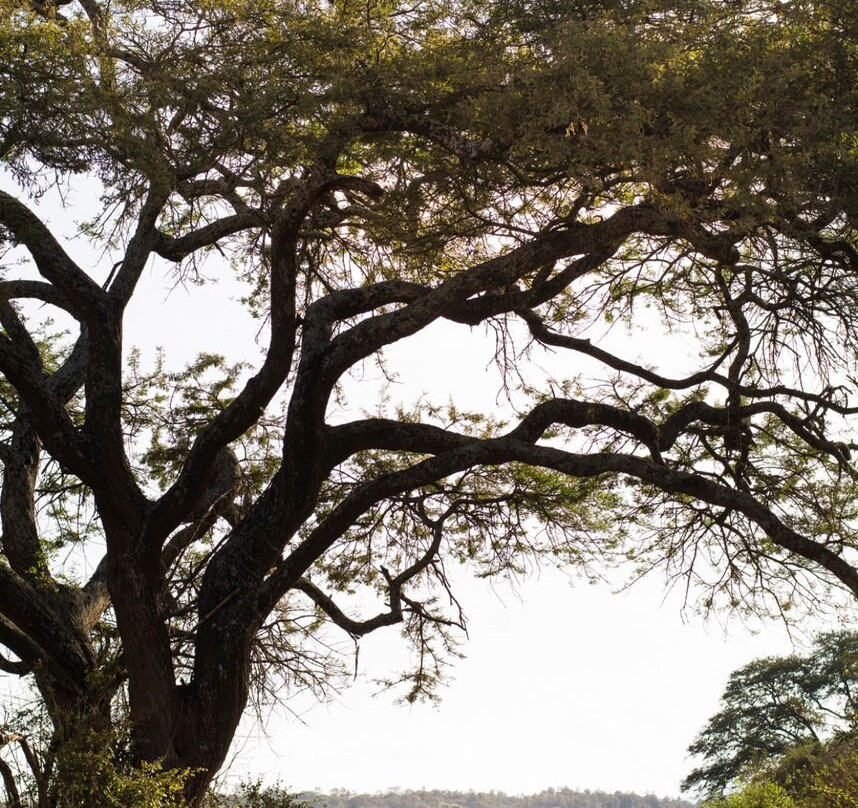 A premier Destination Wedding Company-Dar es Salaam必去景点