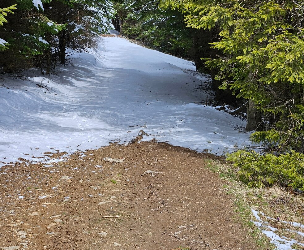 Castelnor Hotel & SPA主图