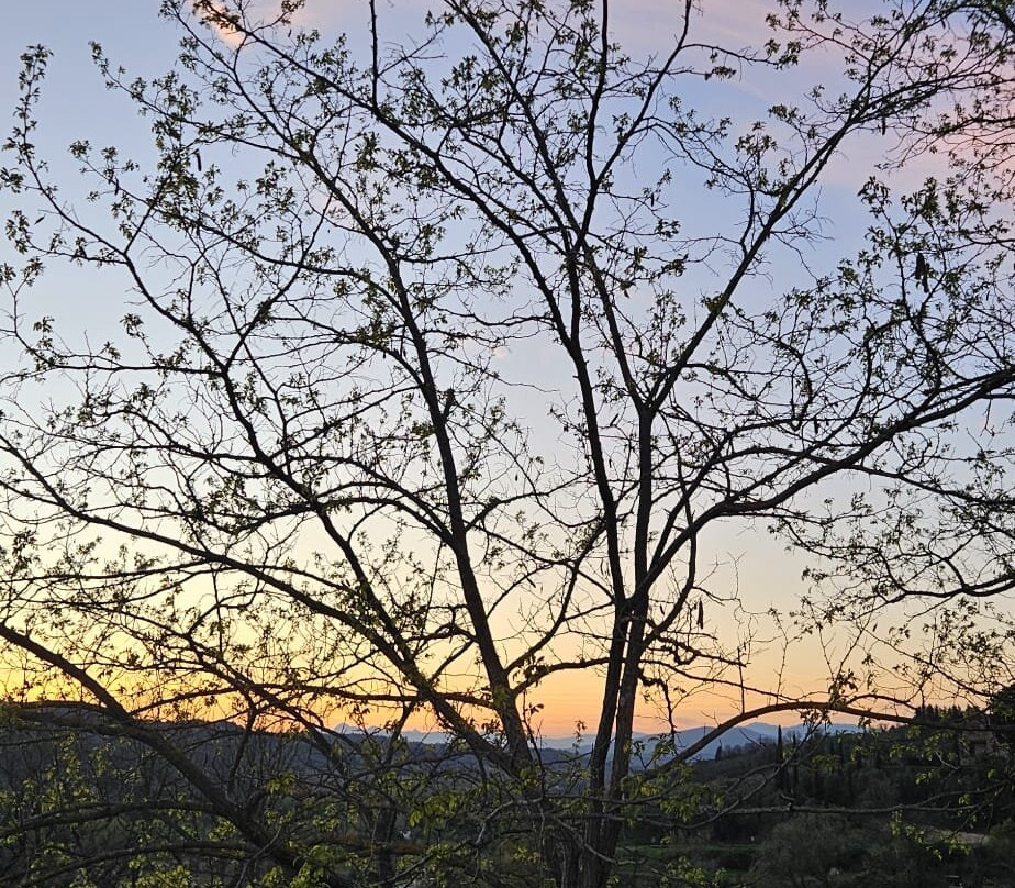 黎莱斯波吉欧博尔戈尼酒店主图