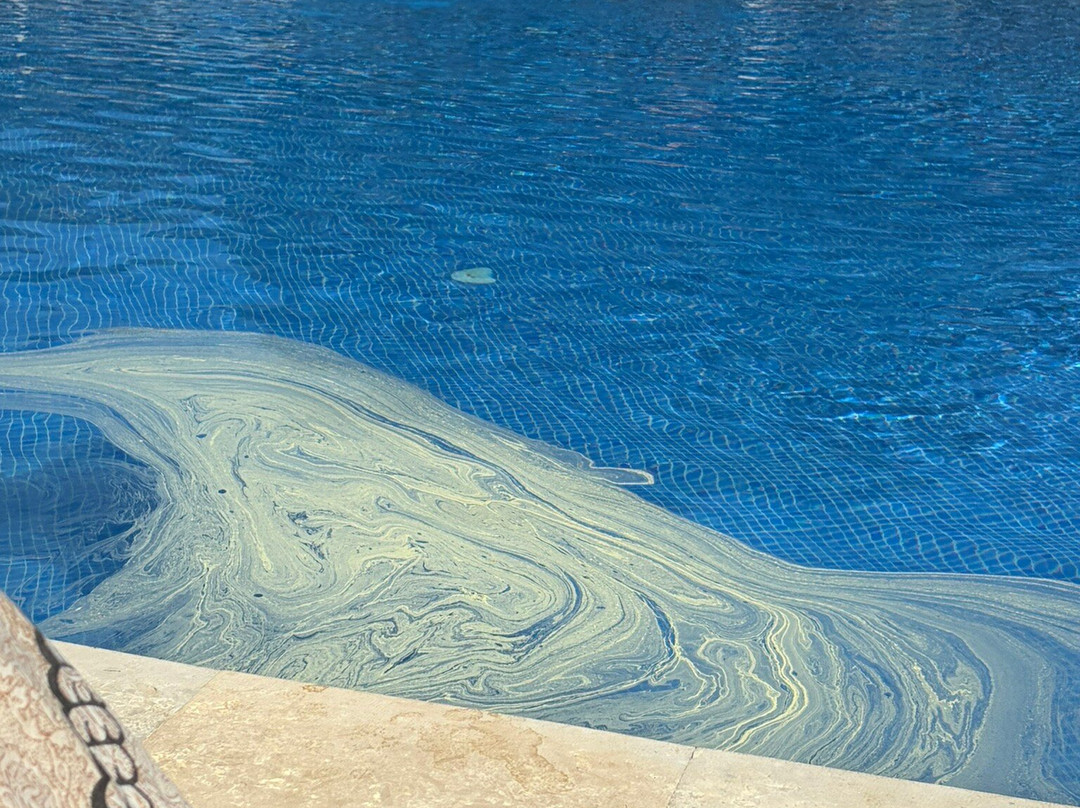 卡沃埃鲁酒店主图