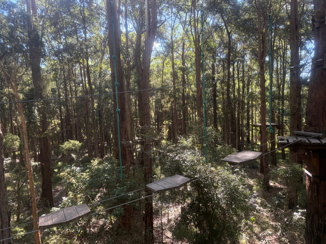 TreeTops Central Coast-怀昂溪必去景点