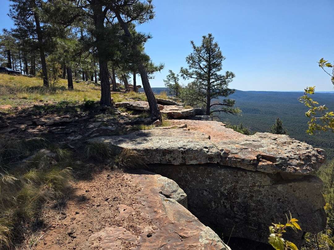 Mogollon Rim-Payson必去景点