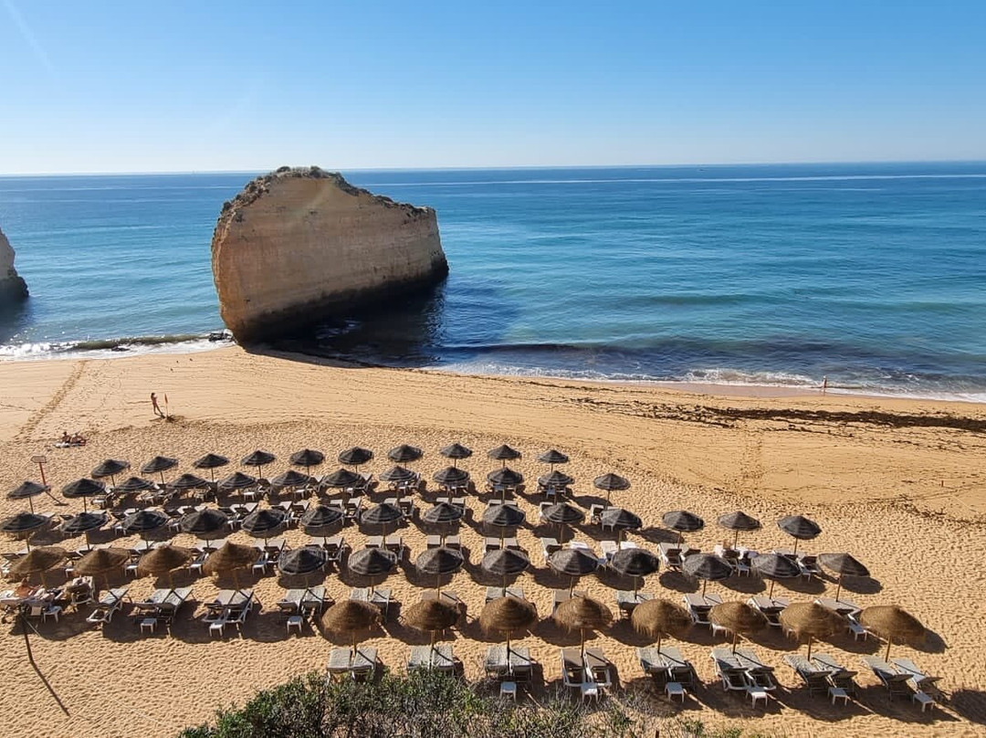 Drive in Motion - Automotive Events-Sargans必去景点