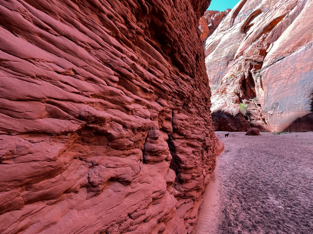 Kayak the Colorado-大理石峡谷必去景点