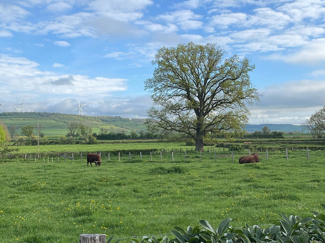 多梅因德培韦斯特威尼斯米 SPA 酒店主图