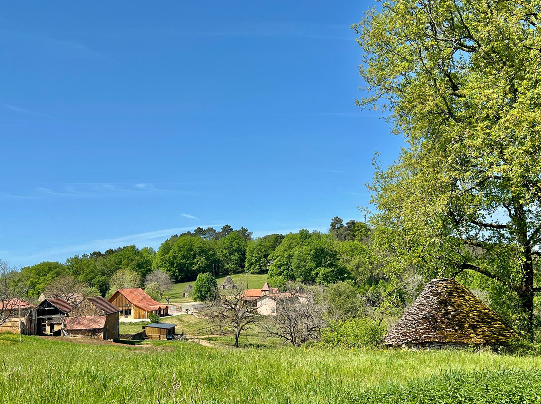 多梅因罗尼酒店主图