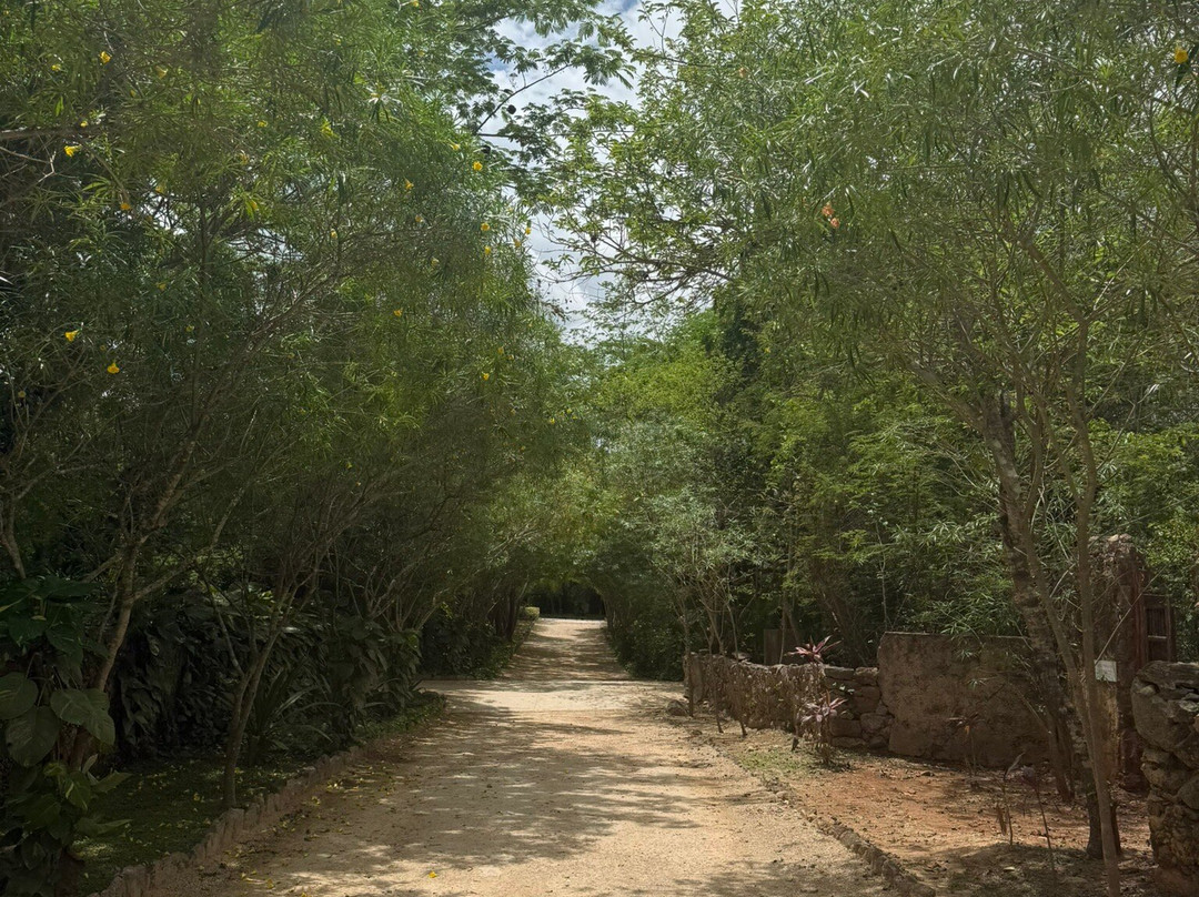 Destino Mío Mayan Jungle Retreat主图
