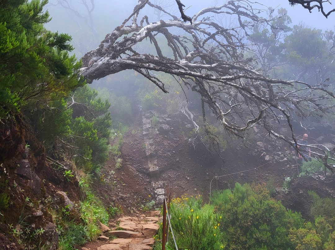 Pico do Arieiro-沙尔必去景点