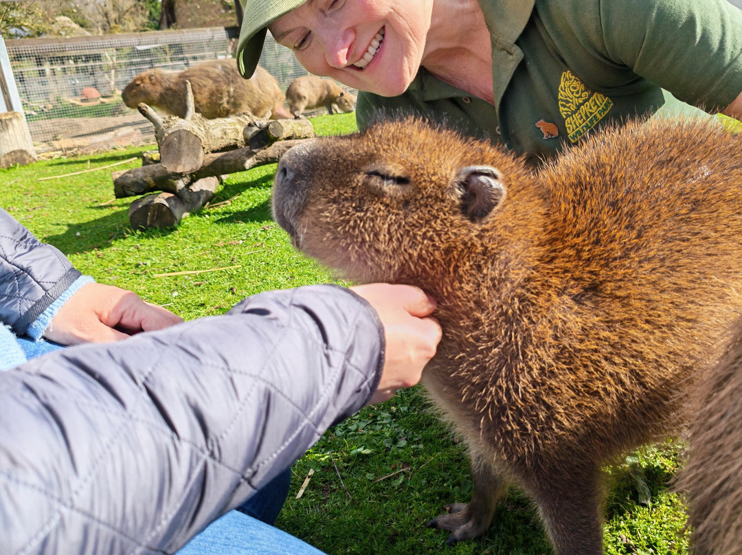 Shepreth Wildlife Park-Shepreth必去景点