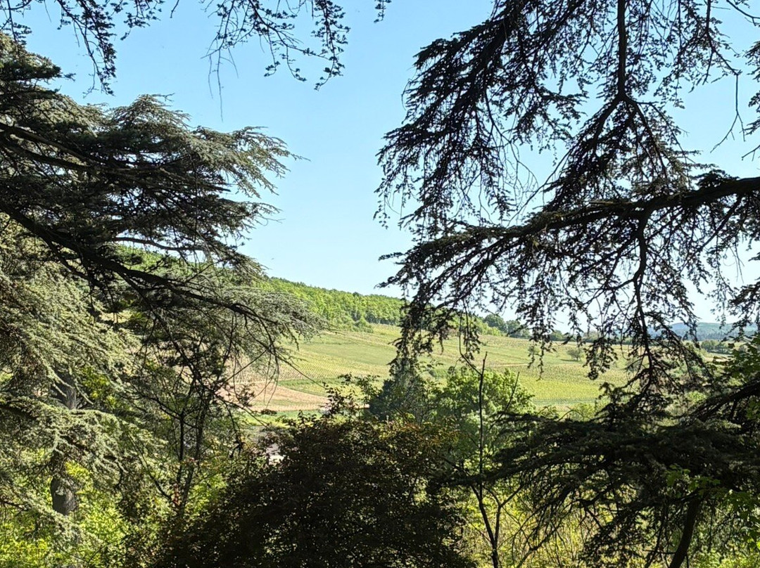 Les Grottes d'Aze-Aze必去景点