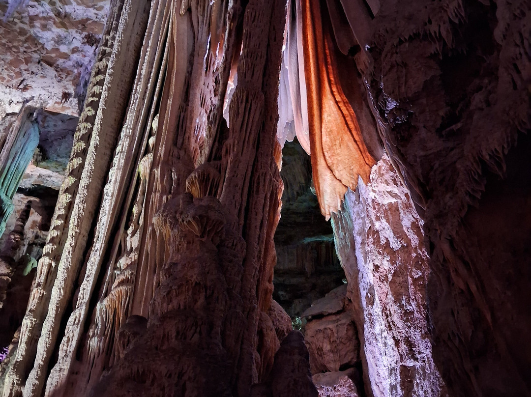 Grotte de la Salamandre-Mejannes-le-Clap必去景点