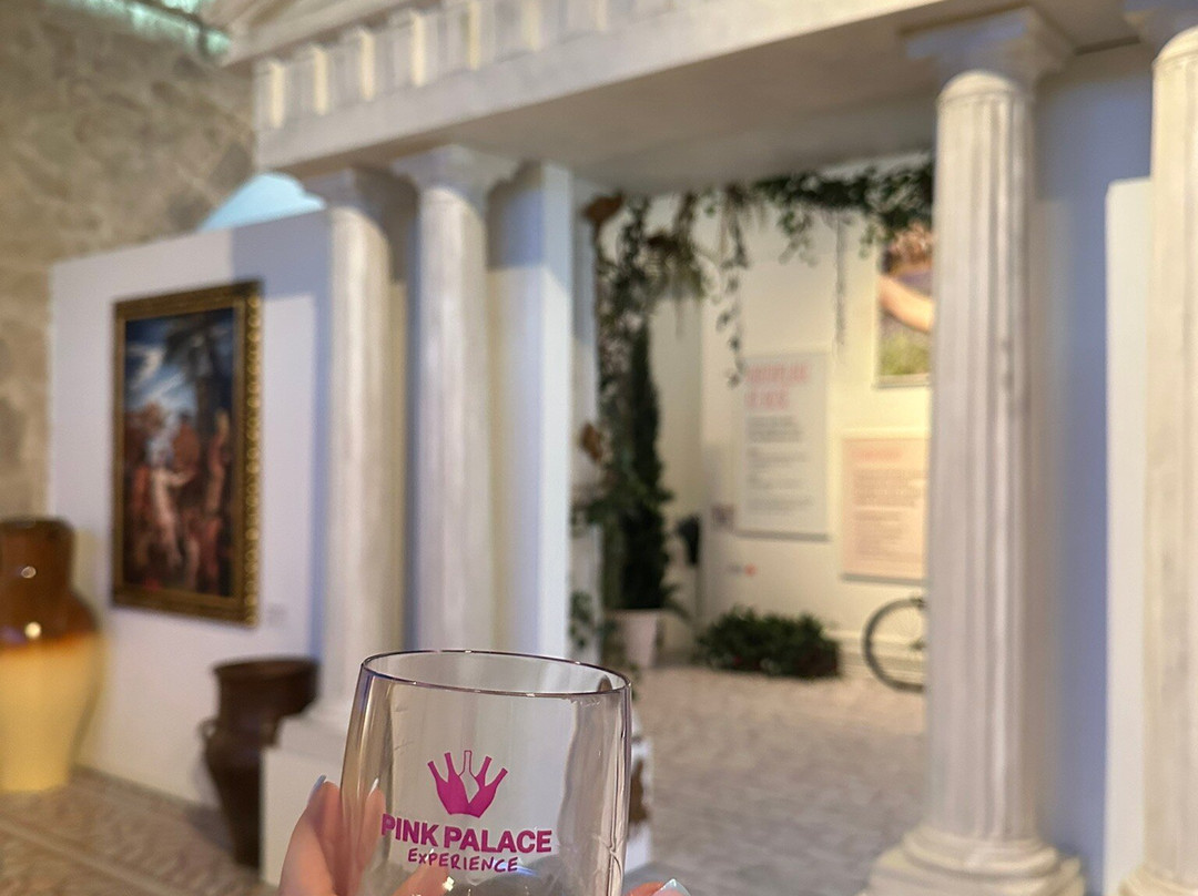 Pink Palace Museum-加亚新城必去景点