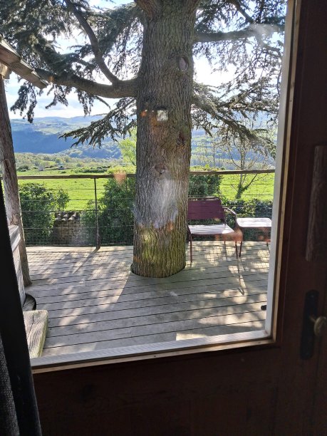 Domaine des Grands Cèdres-旅行者