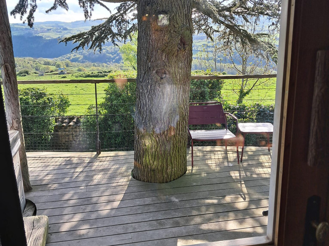 Domaine des Grands Cèdres主图