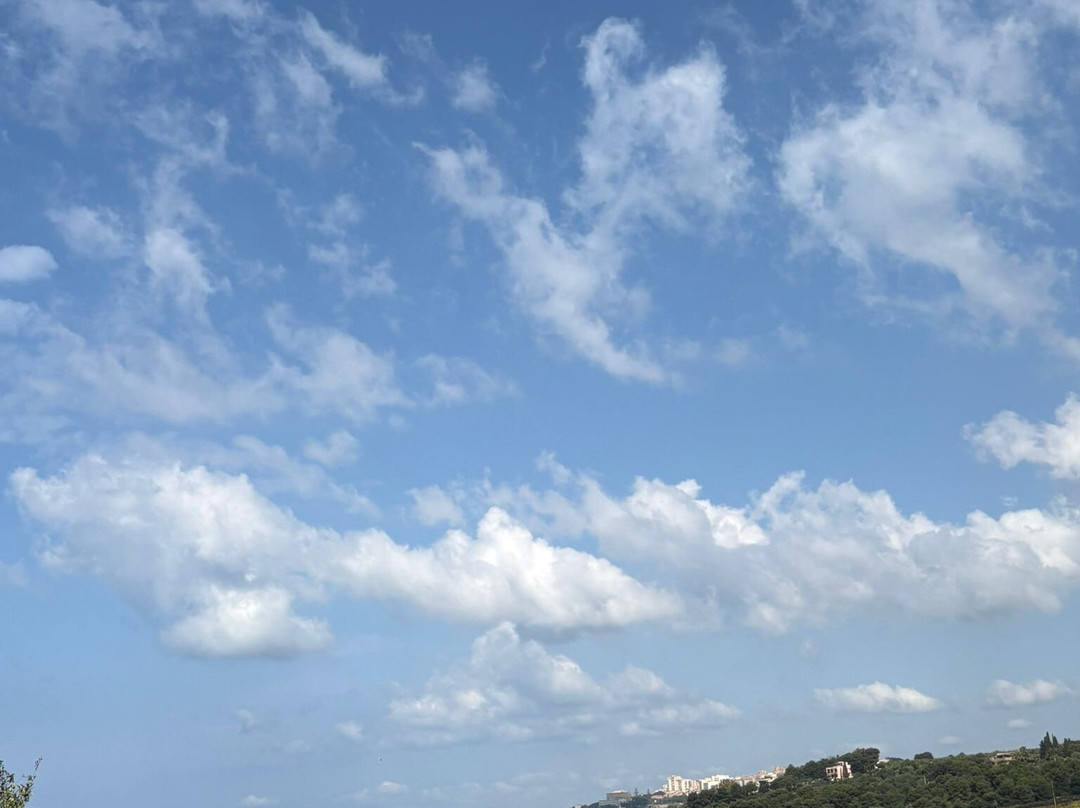 阿利库迪岛 M 俱乐部主图