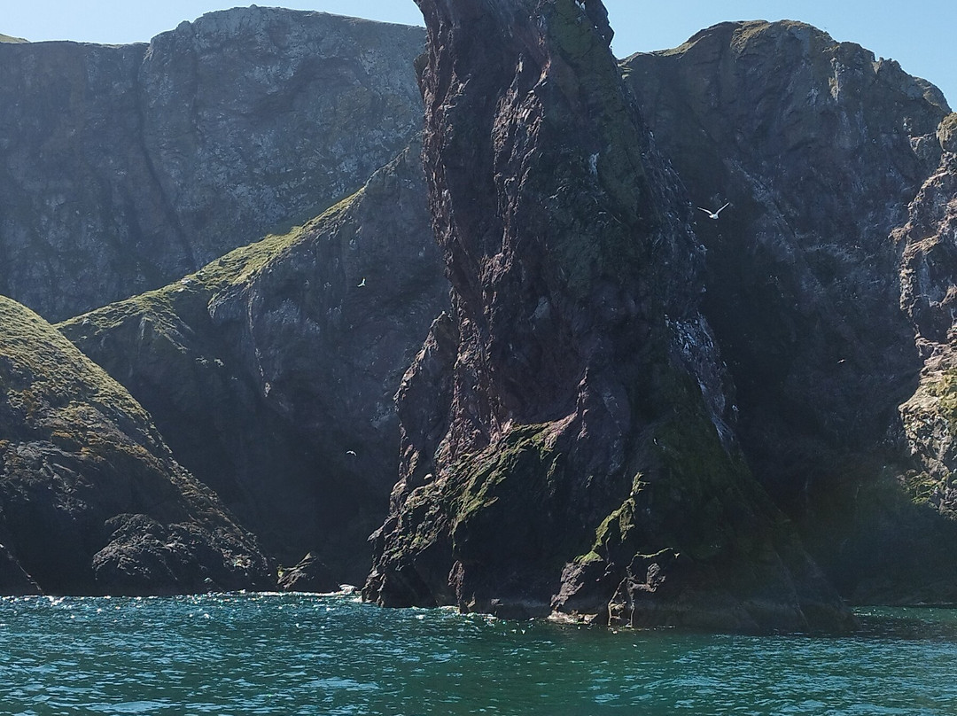 Eyemouth Rib Trips-Eyemouth必去景点