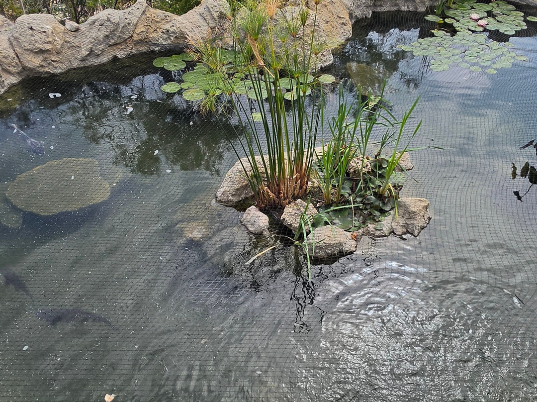 Jardin Exotique de Monaco-摩纳哥城必去景点