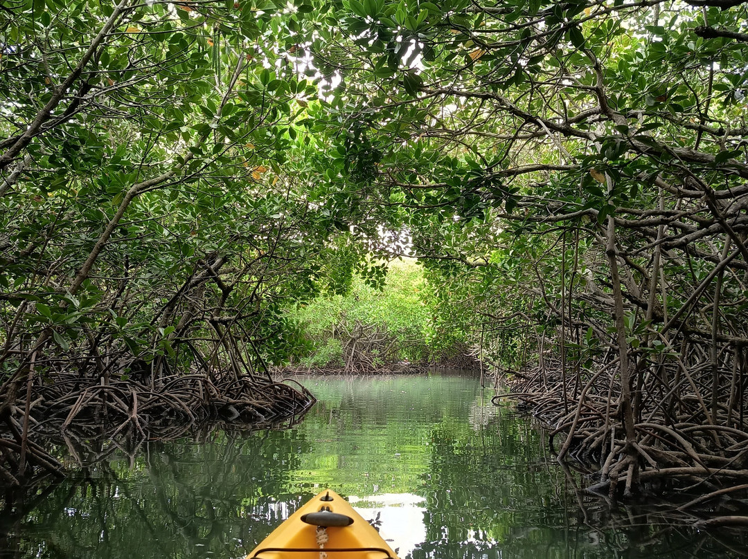 Sea Kayak Adventures-毛里求斯必去景点