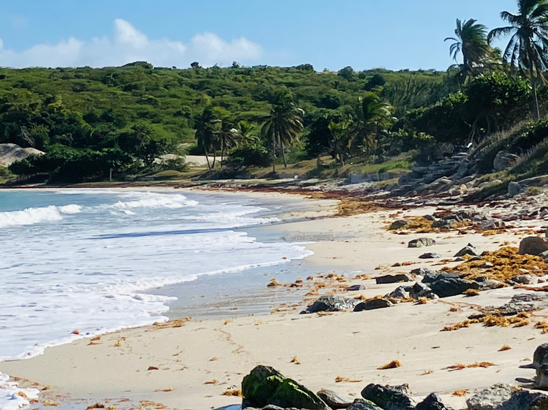 Half Moon Bay-Saint Philips必去景点