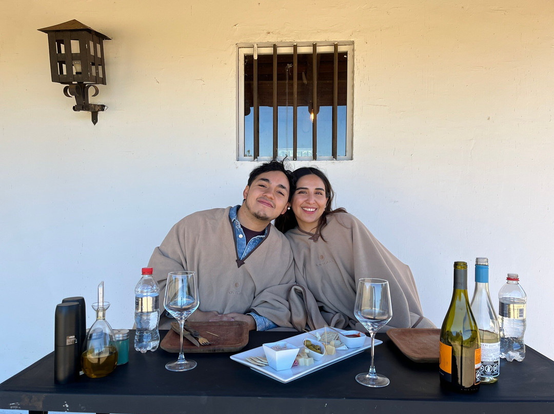 Natural Wine Tours-Palmilla必去景点