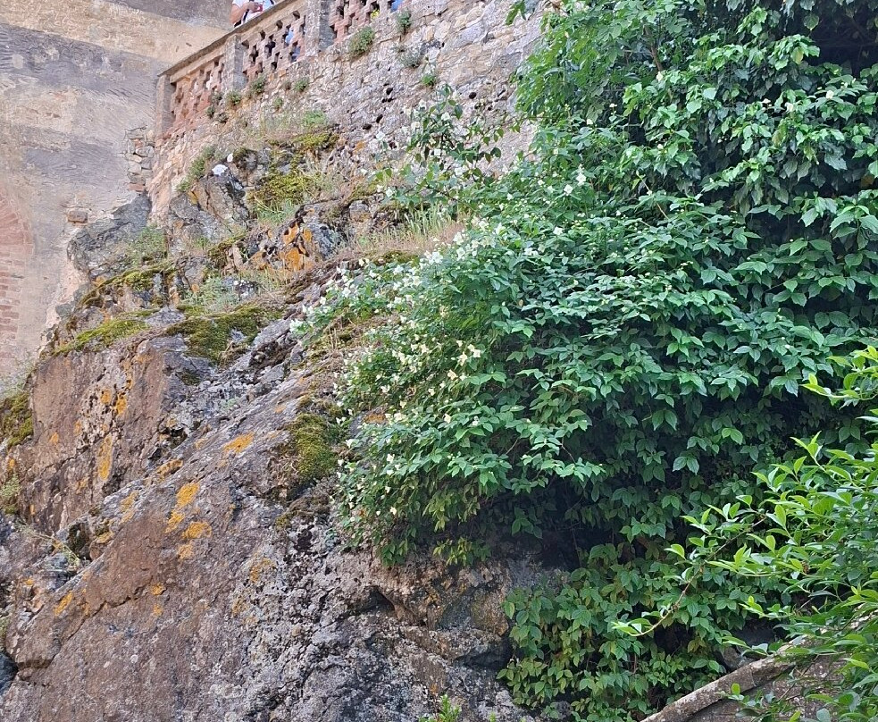 Castello di Gropparello-Gropparello必去景点