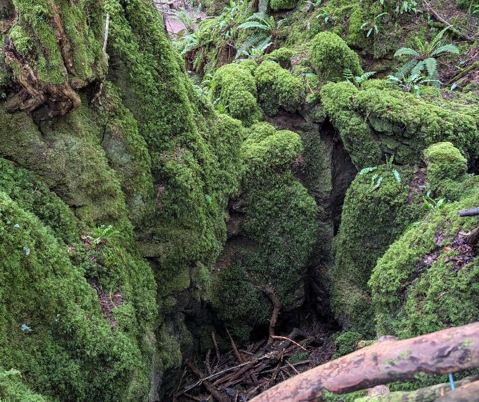 Puzzlewood-Coleford必去景点