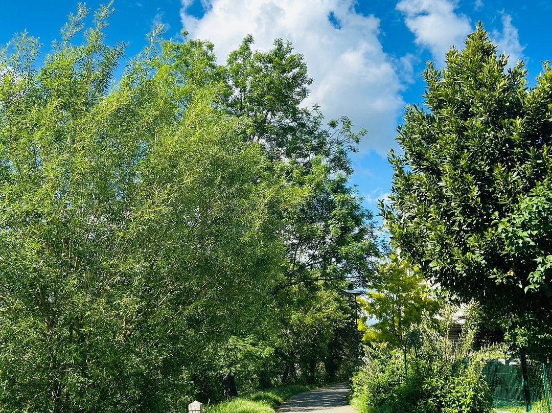 Voie Verte des Berges de l'Isle-Trelissac必去景点